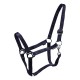 Halter Drew - Horka -