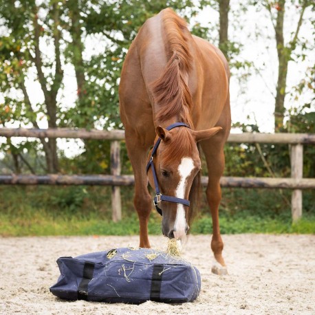 Coussin à foin