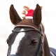 Christmas hat horse Antior QHP