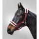 Waldhausen halter First