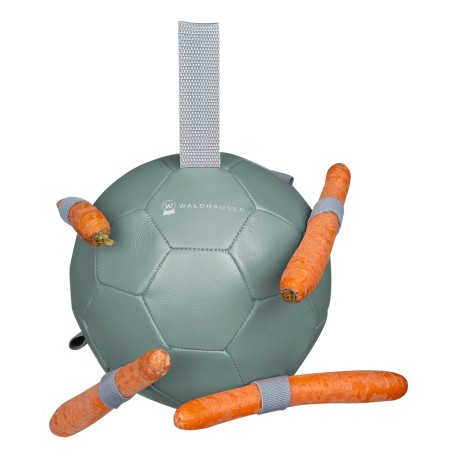 Waldhausen Ball for carrots Gui