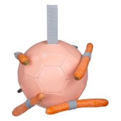 Waldhausen ball for carrots Pink