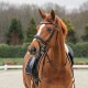 Horka Bridle Deluxe