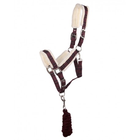 QHP Halter + leadrope Wine red