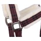 QHP Halter + leadrope Wine red