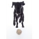 HKM Jouet pour chien Buddy knot ball