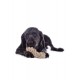 HKM Jouet pour chien Buddy knot bone