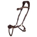 Bridles and acc