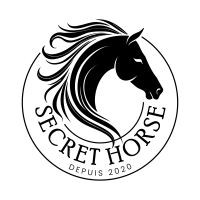 secret-horse-box